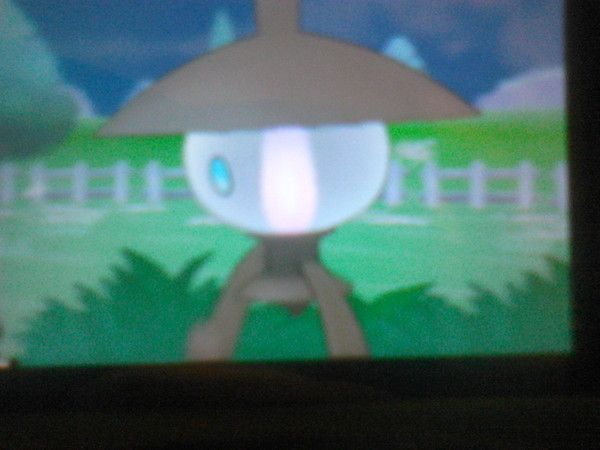 rencontre shiney